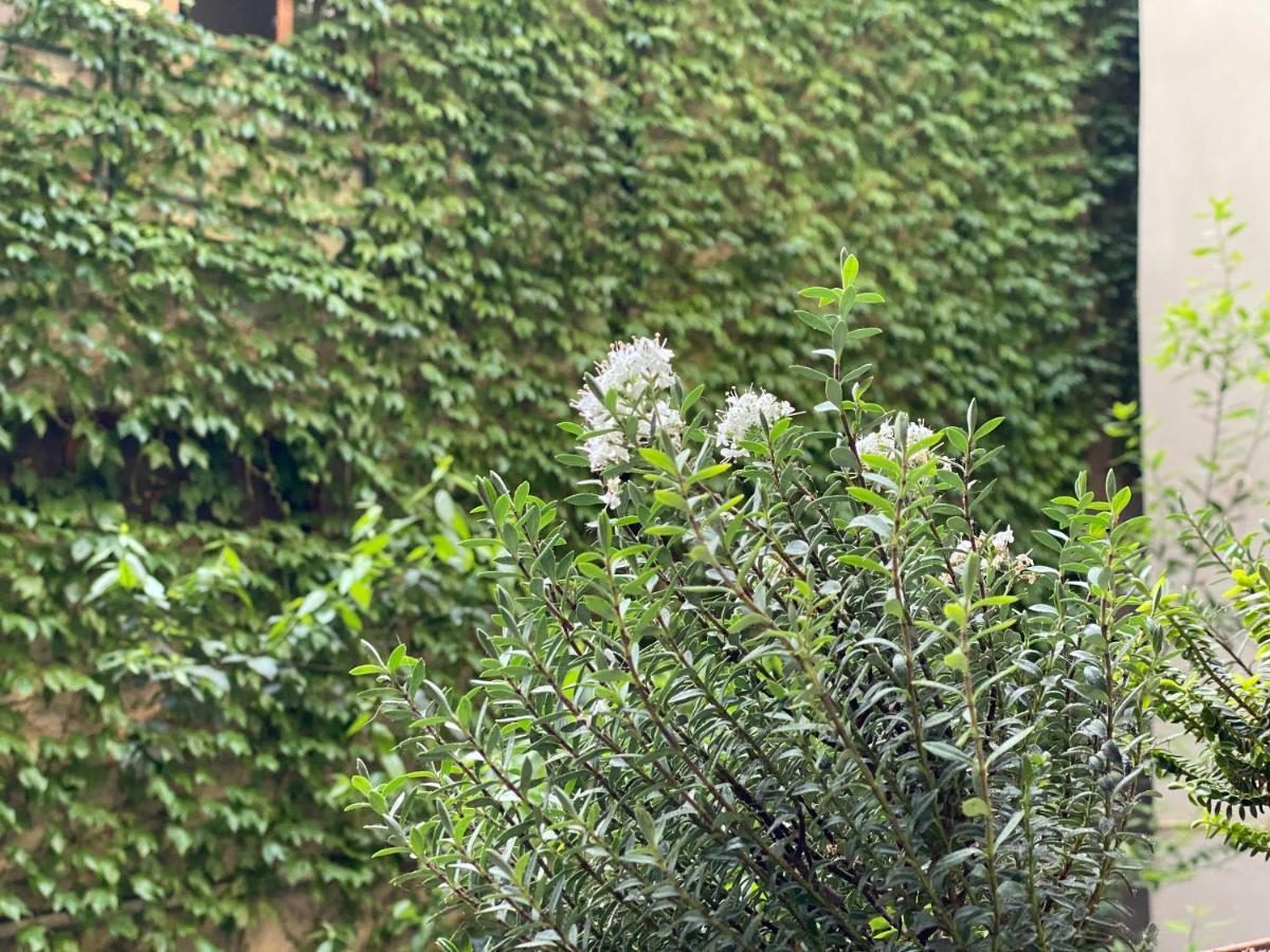 Hotel Blissdom Tbilisi Exteriör bild